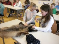 2019-02-14 Vortrag Herta Reich Gym